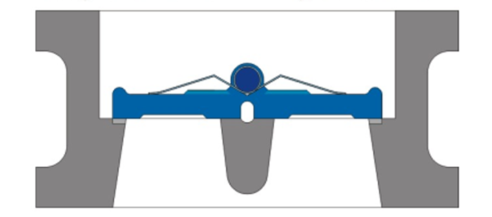 對夾雙瓣式(shì)止回閥結構(gou)圖