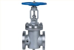 BZ41型保(bao)溫閘閥(fa)