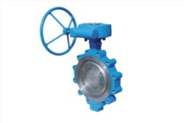 美标三偏(pian)心凸耳對(dui)夾式蝶閥(fá)