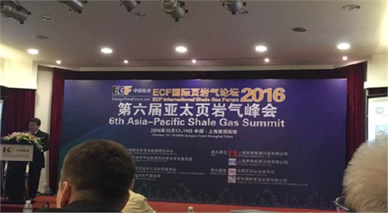 頁岩氣峰會 頁岩(yán)氣峰會