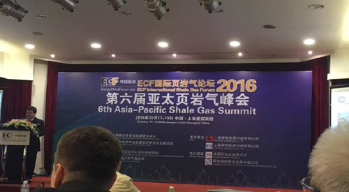 頁岩(yan)氣峰會 頁(ye)岩氣峰會(huì)