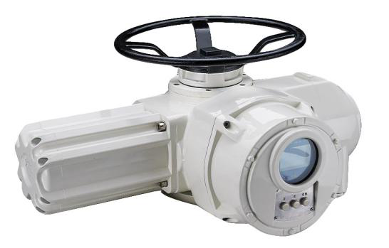 電動執(zhi)行裝置