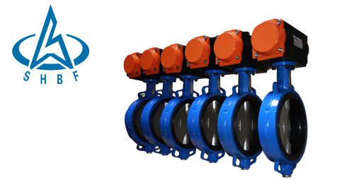 簡析電(diàn)動蝶閥的故(gù)障及維護