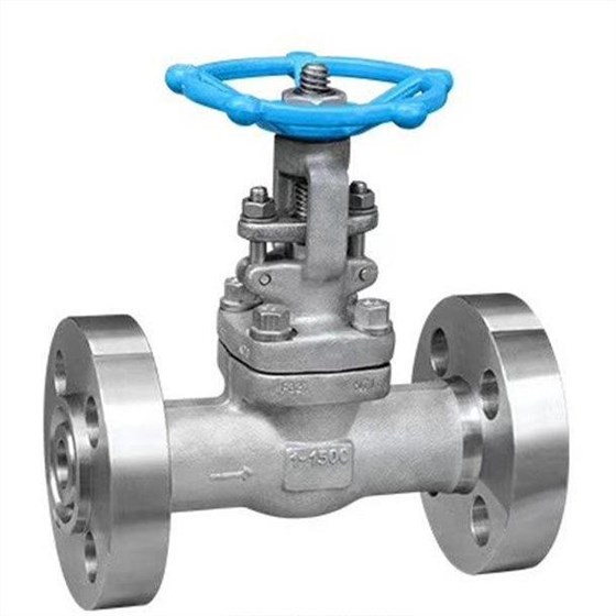 鑄造(zào)法蘭閘閥 鑄造法(fa)蘭閘閥