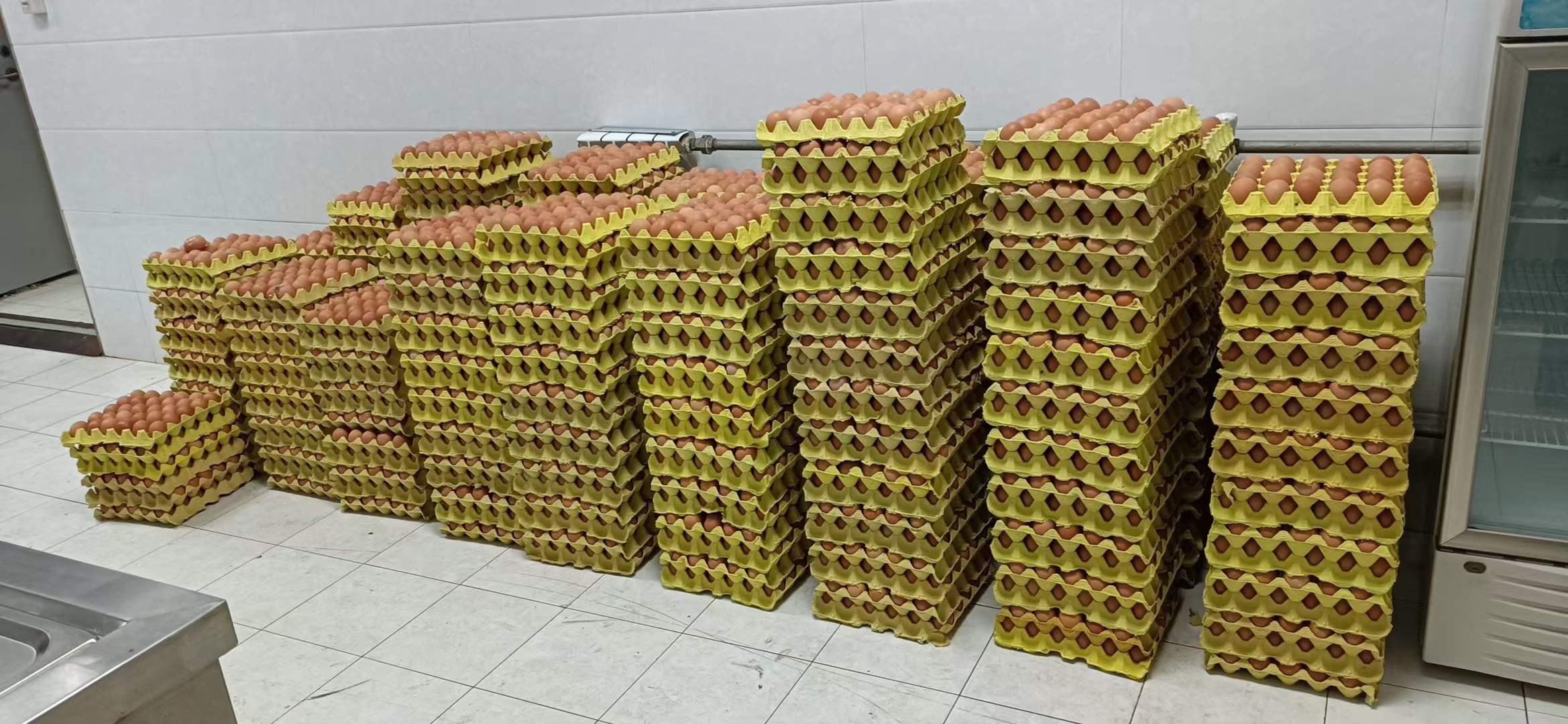 微信圖片(piàn)_20211230140240 微信圖片_20211230140240